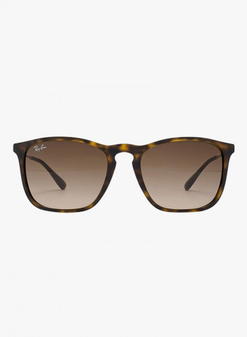Wayfarer Sunglasses