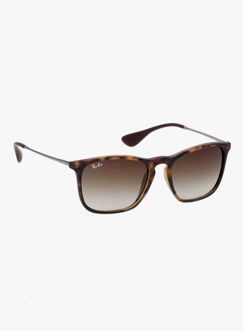 Wayfarer Sunglasses