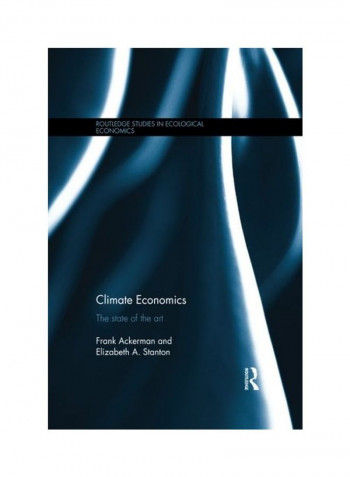 Climate Economics: The State Of The Art Paperback