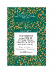 An Economic Analysis Of Intellectual Property Rights Infringement: Field Studies In Developing Countries Hardcover