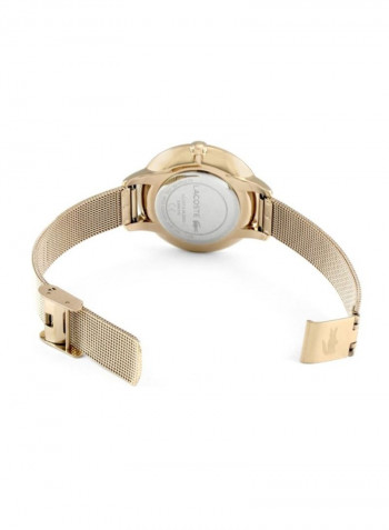 Women's Stainless Steel Analog Watch 2001103