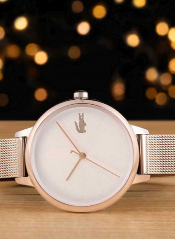 Women's Stainless Steel Analog Watch 2001103