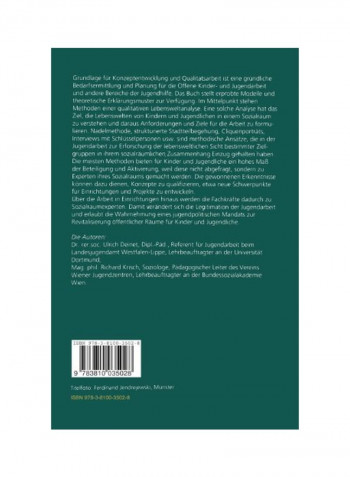 Der Sozialraumliche Blick Der Jugendarbeit Paperback