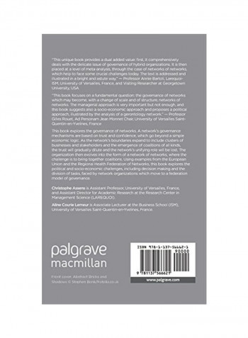 Networks Governance, Partnership Management And Coalitions Federation Paperback
