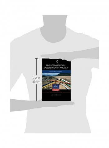 Promoting Silicon Valleys In Latin America: Lessons From Costa Rica Paperback