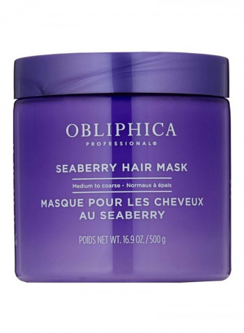 Seaberry Hair Mask 500g