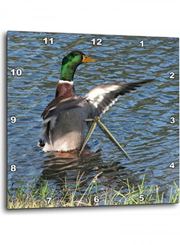 Male Mallard Duck Printed Wall Clock Multicolour 15x15x0.1inch