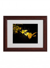 Wood Frame Golding Canvas Wall Art Brown/Yellow 11 x 14inch