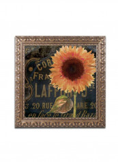 Sunflower Salon I Wooden Framed Wall Art Yellow/Black 11 x 11inch