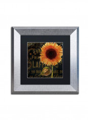 Sunflower Salon I Framed Wall Art Yellow/Black 11 x 11inch