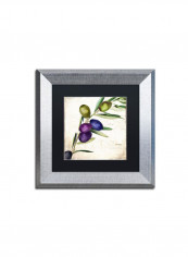 Olive Branch Ii Framed Wall Art multicolour 11 x 11inch