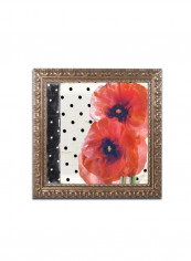 Sasha Ii Framed Wall Art Multicolour 11 x 11inch