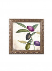 Olive Branch I Framed Wall Art multicolour 11 x 11inch
