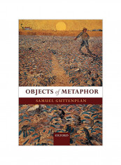 Objects Of Metaphor Paperback