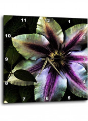 Clematis Flower With Effects Printed Wall Clock Multicolour 15x15x0.1inch