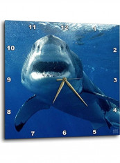 Great White Shark Wall Clock White 15x15inch