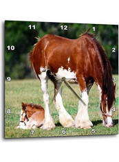 Clydesdale Mare And Foal Horses Printed Wall Clock Multicolour 15x15x0.1inch