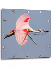 Bird Themed Wall Clock Multicolour