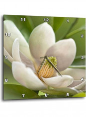Decorative Printed Wall Clock Multicolour 15x15inch