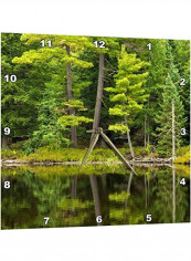 Pine Trees Reflecting In A Small Lake Wall Clock Multicolour 15x15inch