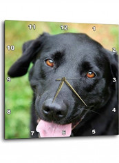 Labrador Printed Analog Wall Clock Multicolour 15x15x0.1inch