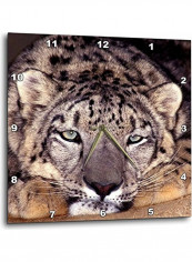 Snow Leopard Printed Wall Clock Multicolour 15 x 15inch