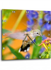 Rufous Hummingbird Jaynes Gallery Wall Clock Multicolour 15 X 15inch