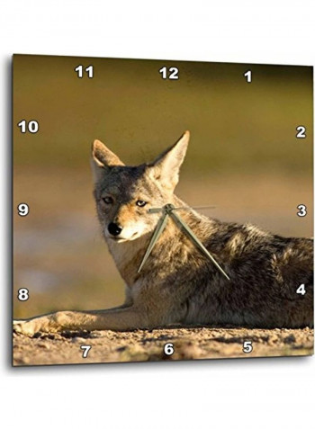 DPP 86792 3 Coyote Wildlife Scammons Lagoon Mexico  Wall Clock Multicolour 15x15inch
