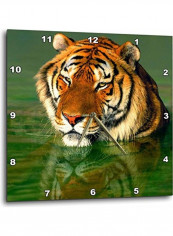 DPP 88202 3 California Bengal Tiger At Wildlife Waystation Wall Clock Multicolour 15x15inch