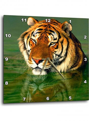 DPP 88202 3 California Bengal Tiger At Wildlife Waystation Wall Clock Multicolour 15x15inch