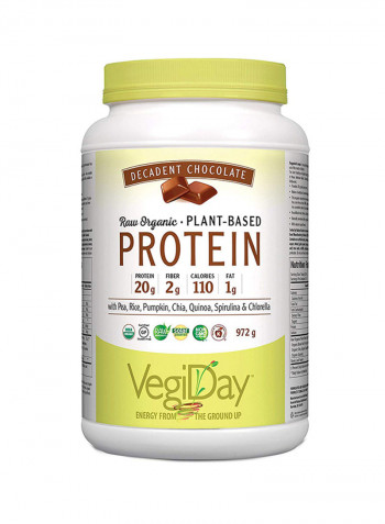 Raw Organic Plant Based Protein Chocolate