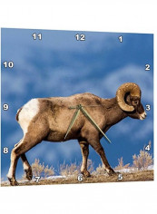 Bighorn Sheep Themed Wall Clock Multicolour