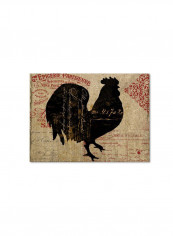 Paris Farms Iii Framed Wall Art multicolour 11 x 14inch