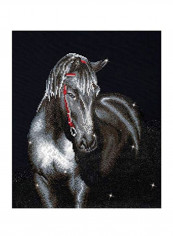 Diamond Dotz Embroidery Facet Art Kit Black/White/Red reviews Diamond Dotz Embroidery Facet Art Kit Black/White/Red
