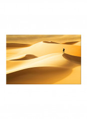 Landscape Desert Scenery On Canvas Painting Brown 60x40centimeter