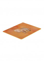 Triceratops Kitchen Mat Multicolour 11 x 14inch