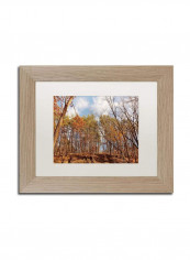 Beaver Creek 8 Birch Frame Wall Art Multicolour 11 x 14inch