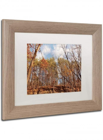 Beaver Creek 8 Birch Frame Wall Art Multicolour 11 x 14inch