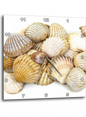 Sea Shells Wall Clock Multicolour 15x15inch