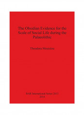 The Obsidian Evidence For The Scale Of Social Life During The Palaeolithic Paperback
