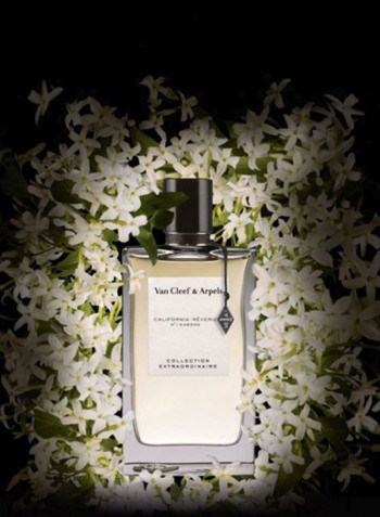 Precious Oud 75ml
