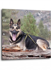 A German Shepherd Dog Wall Clock Multicolour 15x15inch