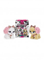 Present Pets Fancy Pups Asst