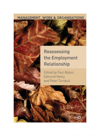 Reassessing The Employment Relationship Paperback