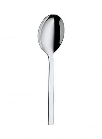 Stainless Steel Service Spoon Silver