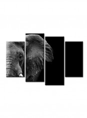 4-Piece Animal Theme Canvas Painting With Frame Multicolour 120X85centimeter