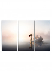 3-Piece Animal Theme Canvas Painting With Frame Multicolour 150X70centimeter