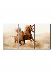 3-Piece Animal Theme Canvas Painting With Frame Multicolour 150X70centimeter