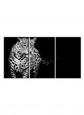 3-Piece Animal Theme Canvas Painting With Frame Multicolour 150X70centimeter