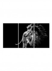 3-Piece Animal Theme Canvas Painting With Frame Multicolour 150X70centimeter